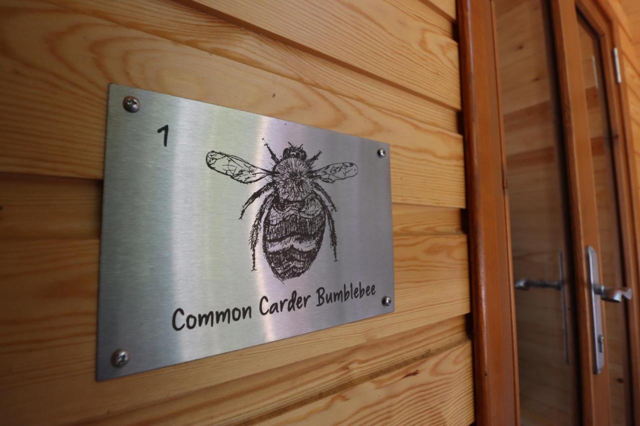 Campsite Ghyll Head Hive Pod Village