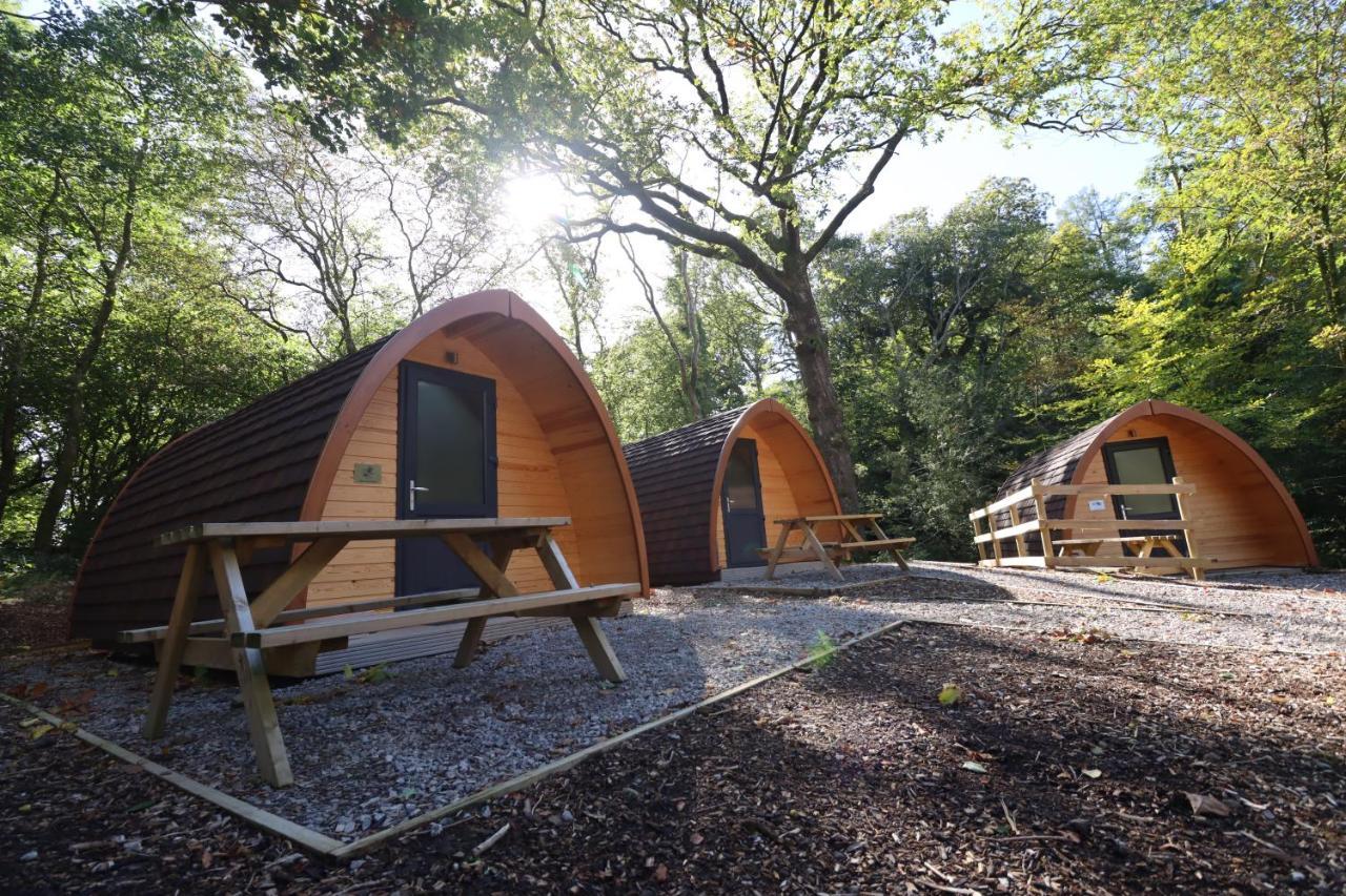 Campsite Ghyll Head Hive Pod Village *