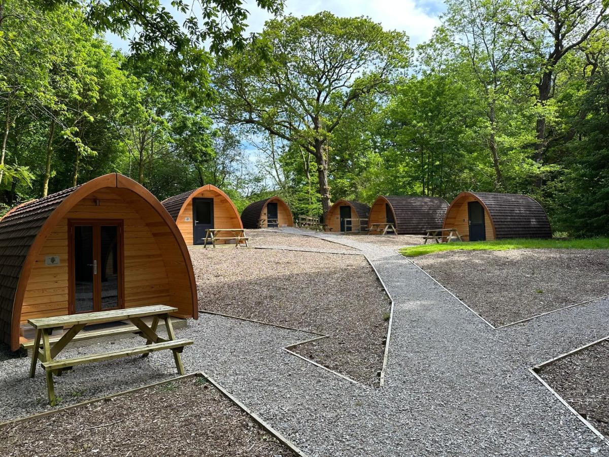 Ghyll Head Hive Pod Village Winster (Cumbria)